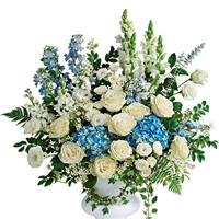 For The Service Image